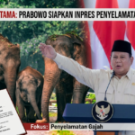 inpres penyelamatan gajah oleh pemerintah indonesia
