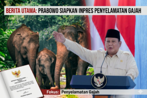 inpres penyelamatan gajah oleh pemerintah indonesia