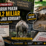 Kasus korupsi pakan KBS dan kondisi satwa Kebun Binatang Surabaya